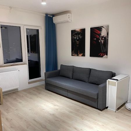 Amethyst Luxury Apartment Palace 부쿠레슈티 외부 사진